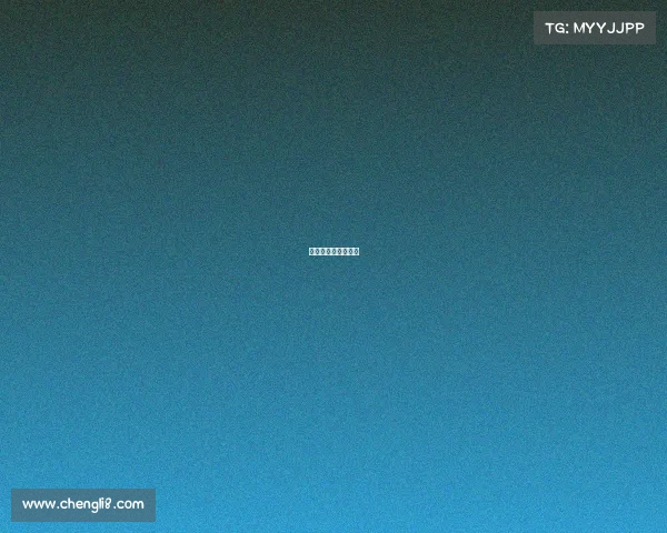 法国篮球赛事有哪些